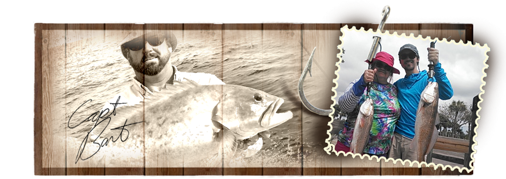 nivo slider image