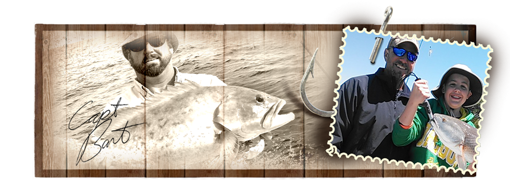 nivo slider image